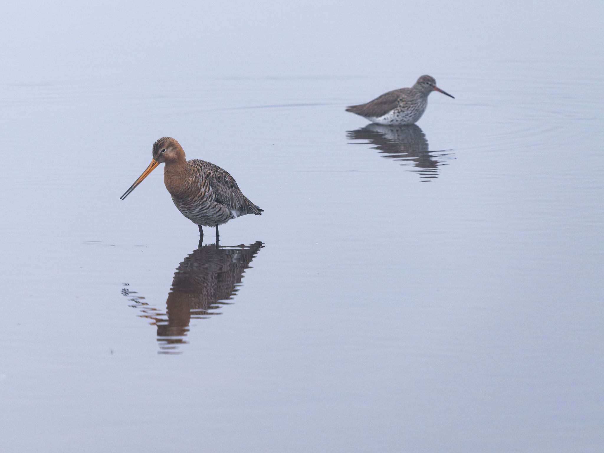 260321 1048 H  1HR0549 DxO DeepPRIME 3